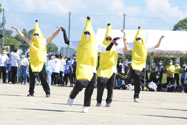 平岡にはこんなに楽しいイベントが待っています★